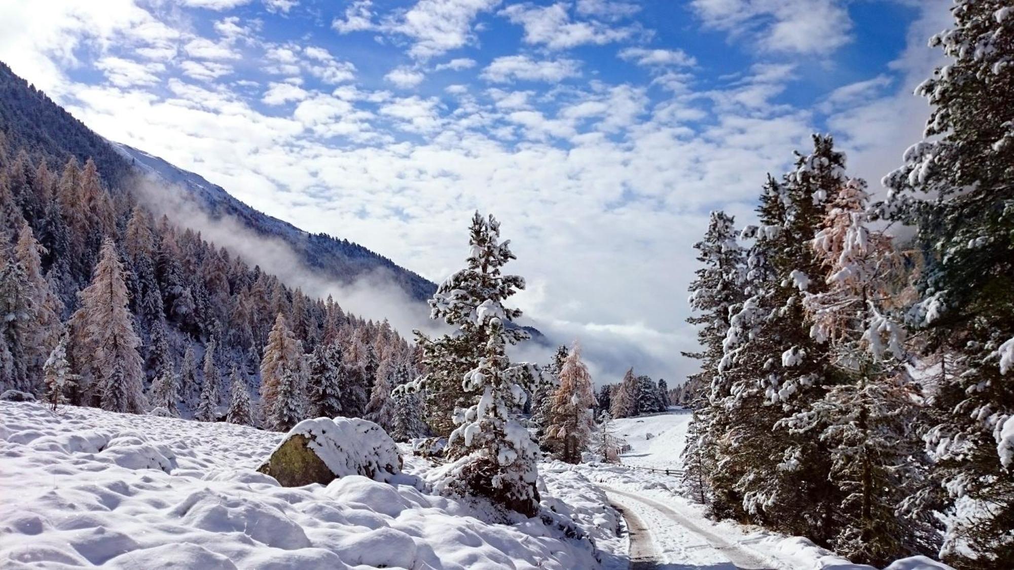 Residence Sonnberg Перча Екстериор снимка